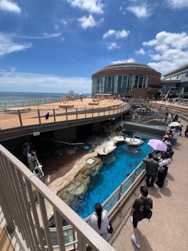 アクアワールド茨城県大洗水族館に投稿された画像（2025/7/20）