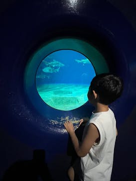 アクアワールド茨城県大洗水族館に投稿された画像（2025/7/20）
