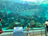 名古屋港水族館に投稿された画像（2025/7/20）