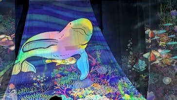 旅する光の切り絵展 ～くうそうって、まほうだよ～に投稿された画像（2025/7/20）