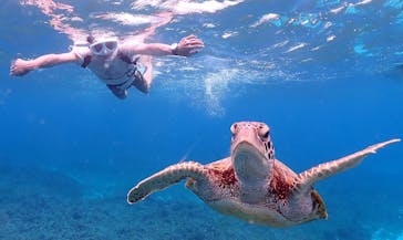 ちゃこたびに投稿された画像（2025/7/20）