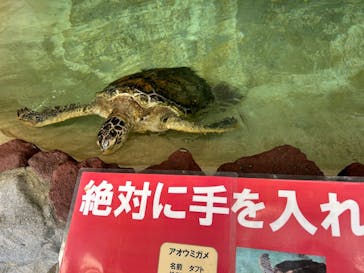 あわしまマリンパークに投稿された画像（2025/7/20）