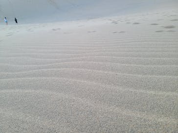 とっとり観光ガイドセンターに投稿された画像（2025/7/20）