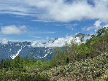 つがいけマウンテンリゾートに投稿された画像（2025/7/20）