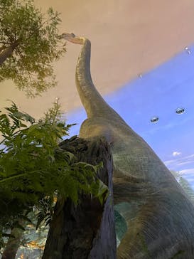 福井県立恐竜博物館に投稿された画像（2025/7/20）