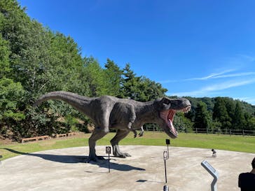福井県立恐竜博物館に投稿された画像（2025/7/20）