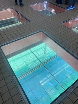 徳島県立 渦の道に投稿された画像（2025/7/20）