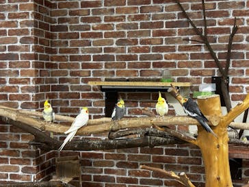 アニタッチ 東京ドームシティに投稿された画像（2025/7/20）