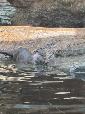 仙台うみの杜水族館に投稿された画像（2025/7/20）