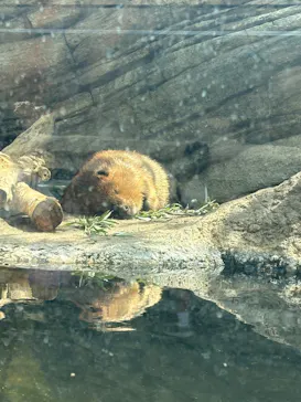 仙台うみの杜水族館に投稿された画像（2025/7/20）