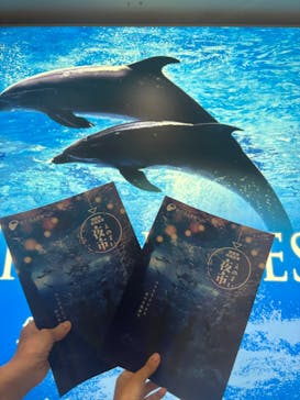 新江ノ島水族館に投稿された画像（2025/7/20）