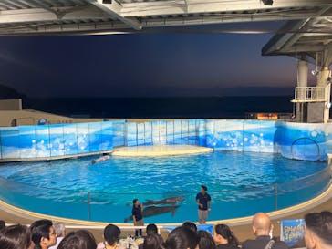 新江ノ島水族館に投稿された画像（2025/7/20）