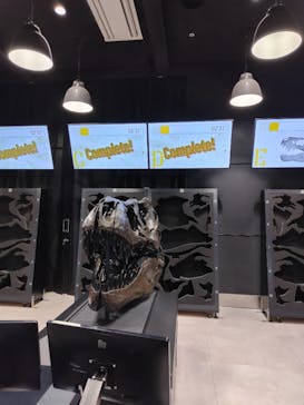 福井県立恐竜博物館に投稿された画像（2025/7/20）