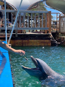 下田海中水族館に投稿された画像（2025/7/20）