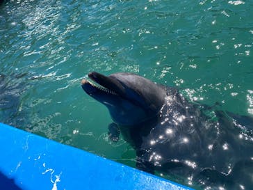 下田海中水族館に投稿された画像（2025/7/20）