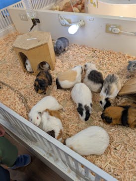 アニタッチ MARK IS 静岡に投稿された画像（2025/7/20）