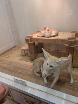 アニタッチ MARK IS 静岡に投稿された画像（2025/7/20）