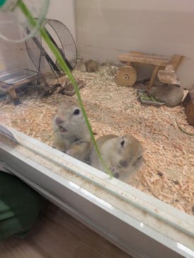 アニタッチ MARK IS 静岡に投稿された画像（2025/7/20）