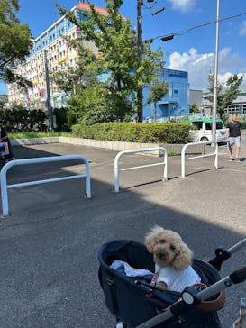 ペット博２０２５なごやに投稿された画像（2025/7/20）