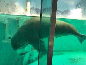 南知多ビーチランド＆南知多おもちゃ王国に投稿された画像（2025/7/20）