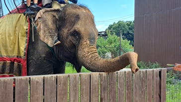 那須ワールドモンキーパークに投稿された画像（2025/7/20）