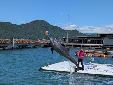 あわしまマリンパークに投稿された画像（2025/7/20）