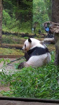 恩賜上野動物園に投稿された画像（2025/7/20）