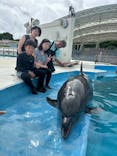 沖縄美ら海水族館（館内体験）に投稿された画像（2025/7/21）