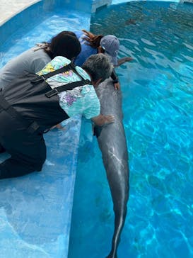 沖縄美ら海水族館（館内体験）に投稿された画像（2025/7/20）