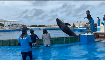 沖縄美ら海水族館（館内体験）に投稿された画像（2025/7/20）