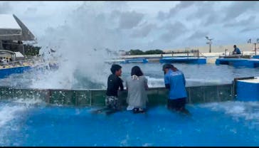 沖縄美ら海水族館（館内体験）に投稿された画像（2025/7/20）