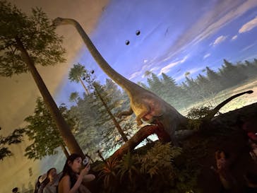 福井県立恐竜博物館に投稿された画像（2025/7/20）