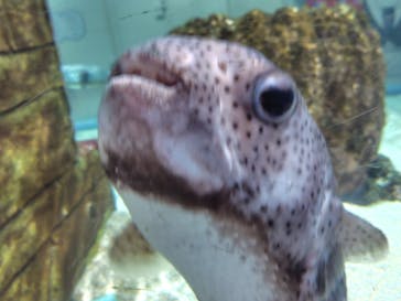 NIFREL（ニフレル）に投稿された画像（2025/7/20）