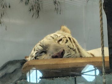 NIFREL（ニフレル）に投稿された画像（2025/7/20）