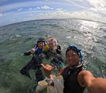 武藤潜水に投稿された画像（2025/7/21）