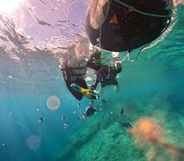 武藤潜水に投稿された画像（2025/7/21）