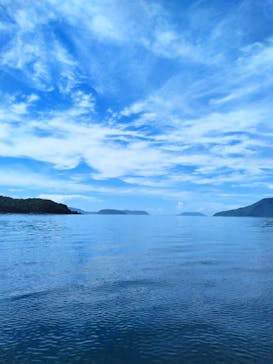 サルワーレ（周防大島店）に投稿された画像（2025/7/21）