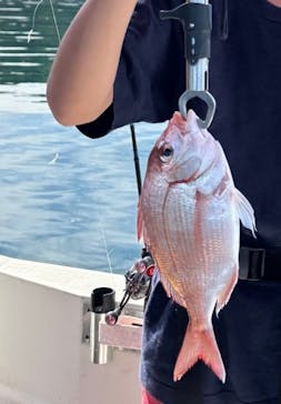 サルワーレ（周防大島店）に投稿された画像（2025/7/21）