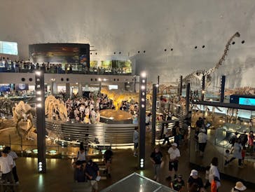 福井県立恐竜博物館に投稿された画像（2025/7/21）