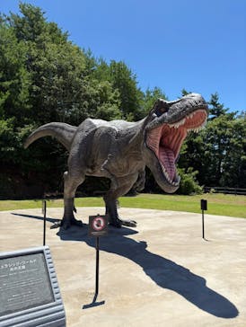 福井県立恐竜博物館に投稿された画像（2025/7/21）