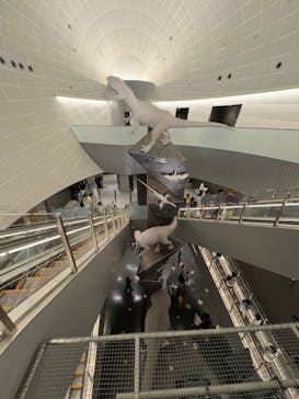 福井県立恐竜博物館に投稿された画像（2025/7/21）