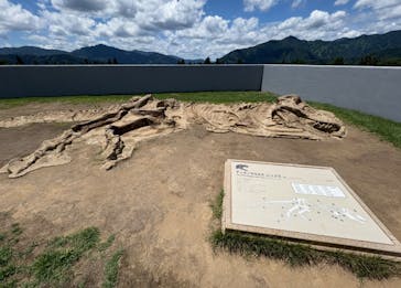 福井県立恐竜博物館に投稿された画像（2025/7/21）