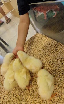 Moff animal world BIGHOPガーデンモール印西店に投稿された画像（2025/7/21）