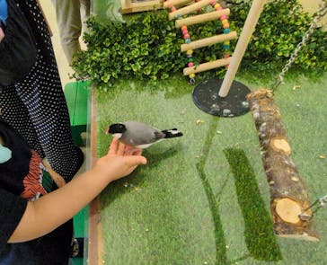 Moff animal world BIGHOPガーデンモール印西店に投稿された画像（2025/7/21）