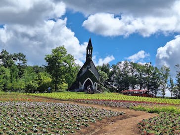 牧歌の里に投稿された画像（2025/7/21）