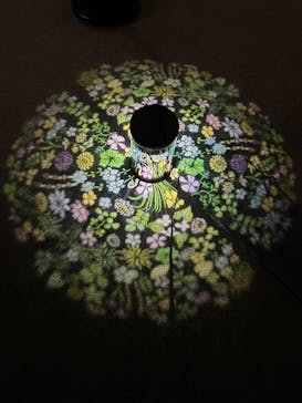 旅する光の切り絵展 ～くうそうって、まほうだよ～に投稿された画像（2025/7/21）