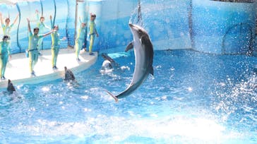新江ノ島水族館に投稿された画像（2025/7/21）