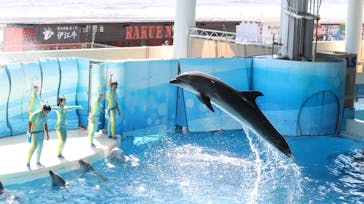 新江ノ島水族館に投稿された画像（2025/7/21）
