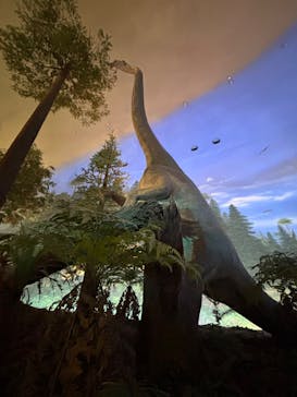 福井県立恐竜博物館に投稿された画像（2025/7/21）