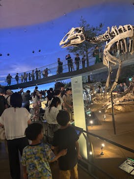 福井県立恐竜博物館に投稿された画像（2025/7/21）